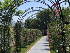 -福建鲤鱼洲酒店