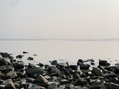 -深圳湾公园(南山区)