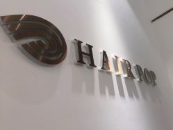 -HAIR POP