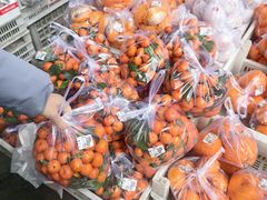 -江杨农产品批发市场