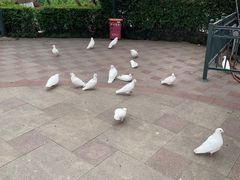 -国色天乡三期陆地乐园