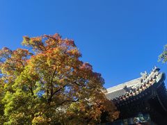 -香山公园