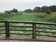 -北京瑞麟湾温泉度假酒店