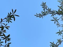 -大夫山顺驰自助烧烤场