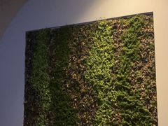 -上足·影院足道·SPA(红岭店)