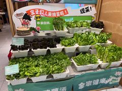 -九孔·筒骨莲藕汤锅(大明宫万达店)