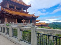-深圳仙湖植物园