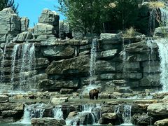 -北京野生动物园