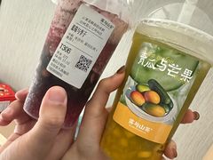 -雾与山茶(大禹城店)