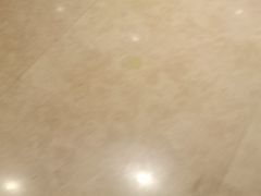 -一只酸奶牛(丹尼斯大卫城店)