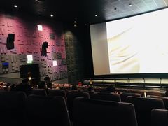 放映厅-成都百丽宫影城(LUXE太古里店)