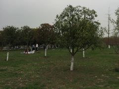 -洨河生态公园
