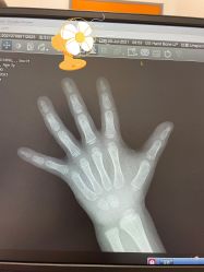 -上海交通大学医学院附属上海儿童医学中心(陆家嘴总院区)