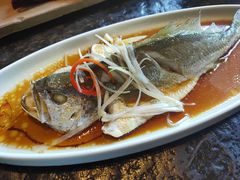 瓦库清蒸小黄鱼-瓦库19(历下店)