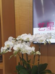-Yestar重庆艺星医疗美容医院