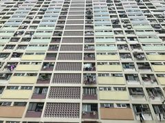 -彩虹村
