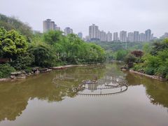 -龙头寺公园