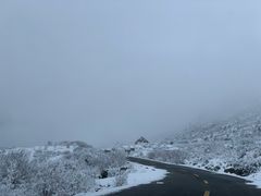 -莲宝叶则景区