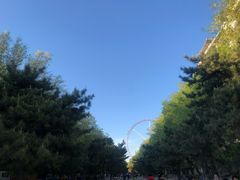 -哈尔滨文化公园