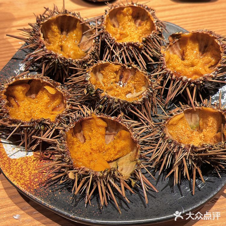 广州日料自助餐 | 星龙吟