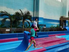 -青岛东方影都融创水世界