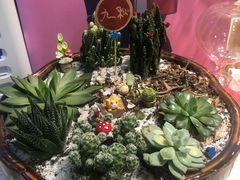 -九秋茶铺(三里屯店)