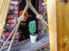 -MAX伯爵趣味互动密室逃脱(大坪D馆店)