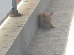 -泉州海丝野生动物世界