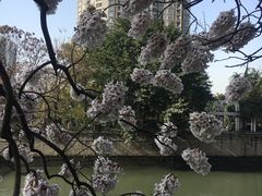 -成都市活水公园