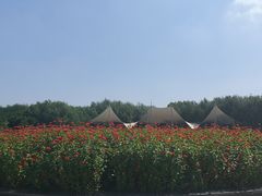 -长春公园(普阳街道)