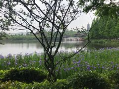 -重庆园博园