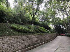 -菊花台公园