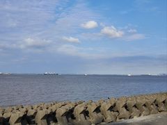 -上海滨江森林公园