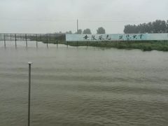 -洪湖生态旅游区