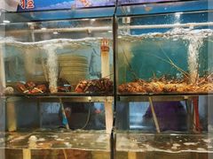 水产区-金地利海鲜酒楼(清凉门店)