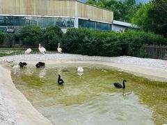 -齐齐哈尔龙沙动植物园