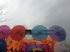 -武汉紫薇都市田园