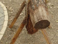 -紫海香堤香草艺术庄园