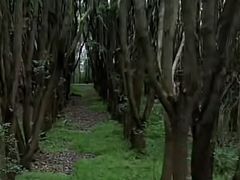 -森林公园(地铁站)