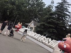 -日照海滨国家森林公园