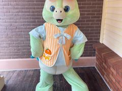 -巷子宽·酸菜鱼(迪士尼小镇店)