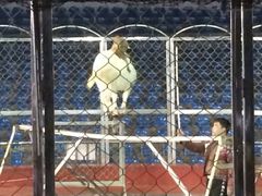 iphone_upload_pic-西安秦岭野生动物园