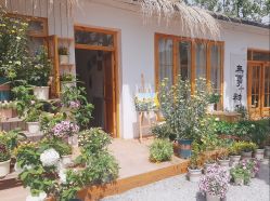 -DORA kids 朵拉儿童摄影花园店