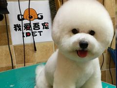 -我爱吾宠宠物美容院(朝阳路店)