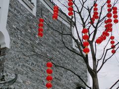 -洋湖国家湿地公园