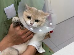 -达爱动物医院·犬猫分区·CT·复杂眼科(远洋山水分院)