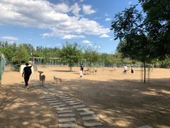 -北京麋鹿生态实验中心