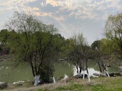 -八大山人梅湖景区