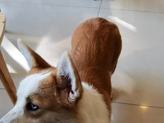 -平行世界·猫咖(首经贸店)