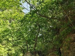 -孤山寨风景区